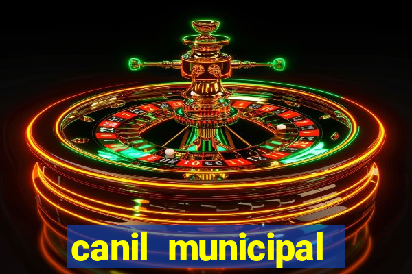 canil municipal porto alegre